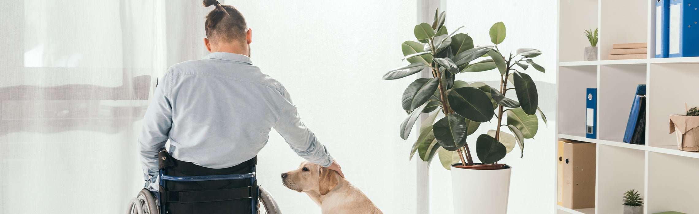 Person seated in a wheelchair indoors reaching down to gently touch a dog beside a large potted plant and shelving unit, representing mobility assistance, companion pets, and supportive home living.