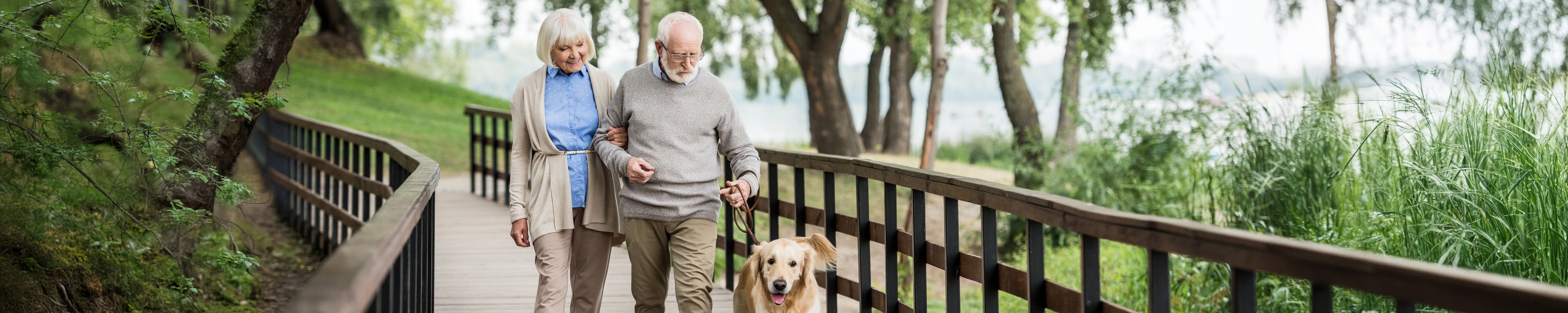 Older couple walking a dog on a wooden boardwalk in a green park, surrounded by trees and water; peaceful outdoor lifestyle and active aging scene. No visible text.