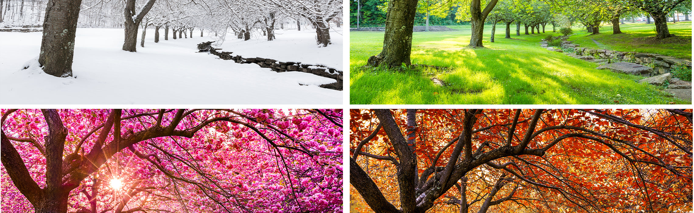 New Study Finds Birth Season Related to Specific Adult Character Traits