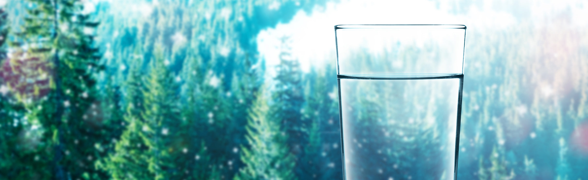 Clear glass of water in the foreground with a soft-focus backdrop of evergreen trees and falling snow, representing fresh hydration, wellness, and pure drinking water in a natural winter setting.