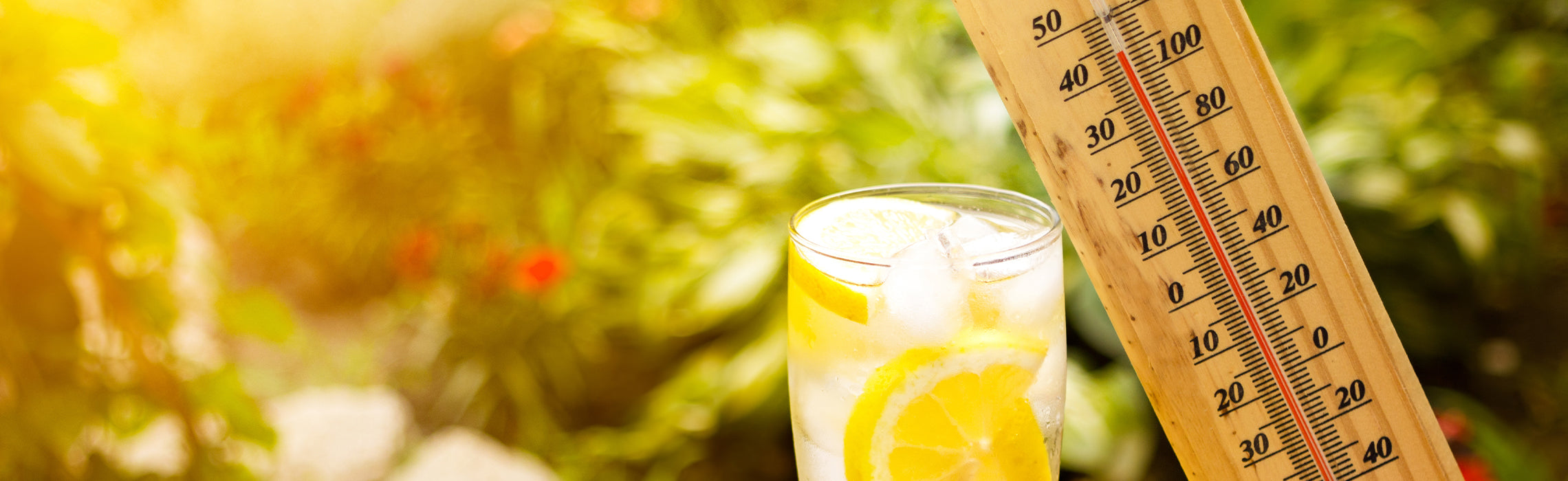 Glass of iced lemon water with visible lemon slices beside a wooden outdoor thermometer showing high temperatures (around 90–100°F), set against a bright, sunlit garden background, representing hot weather, hydration, and summer heat safety.