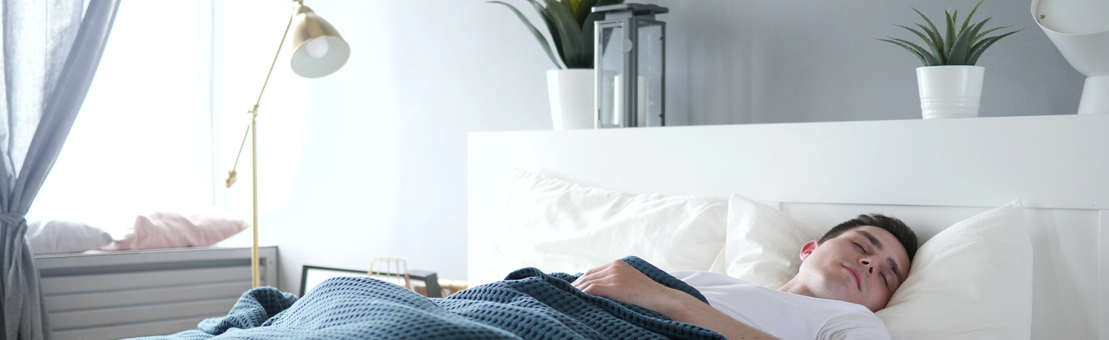 Person resting on a bed with head on a white pillow and covered by a dark blue blanket, in a bright bedroom with plants and modern decor, representing restful sleep, comfort, and healthy sleep habits.