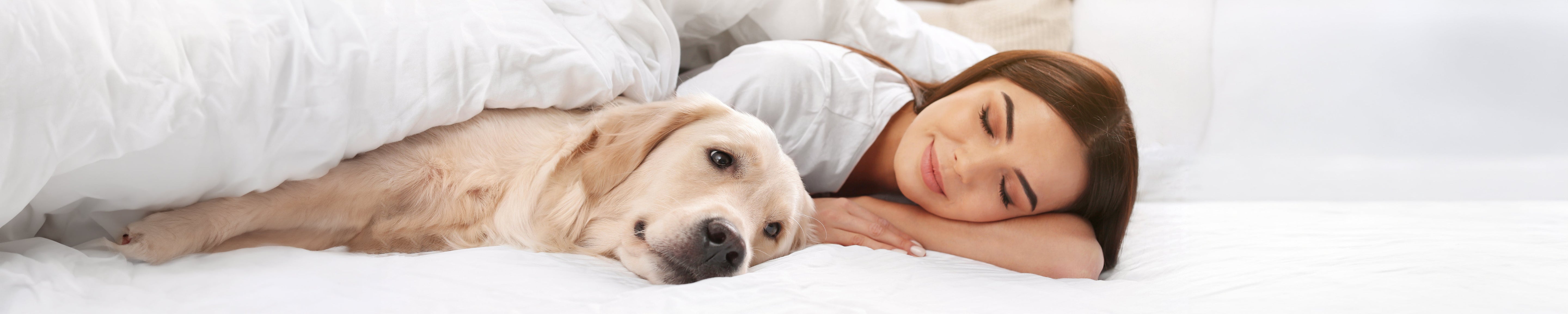 Person resting in a white bed beside a light-colored dog under soft blankets, both lying on white bedding in a bright, minimalist bedroom, highlighting comfort, companionship, and restful sleep. No visible text.