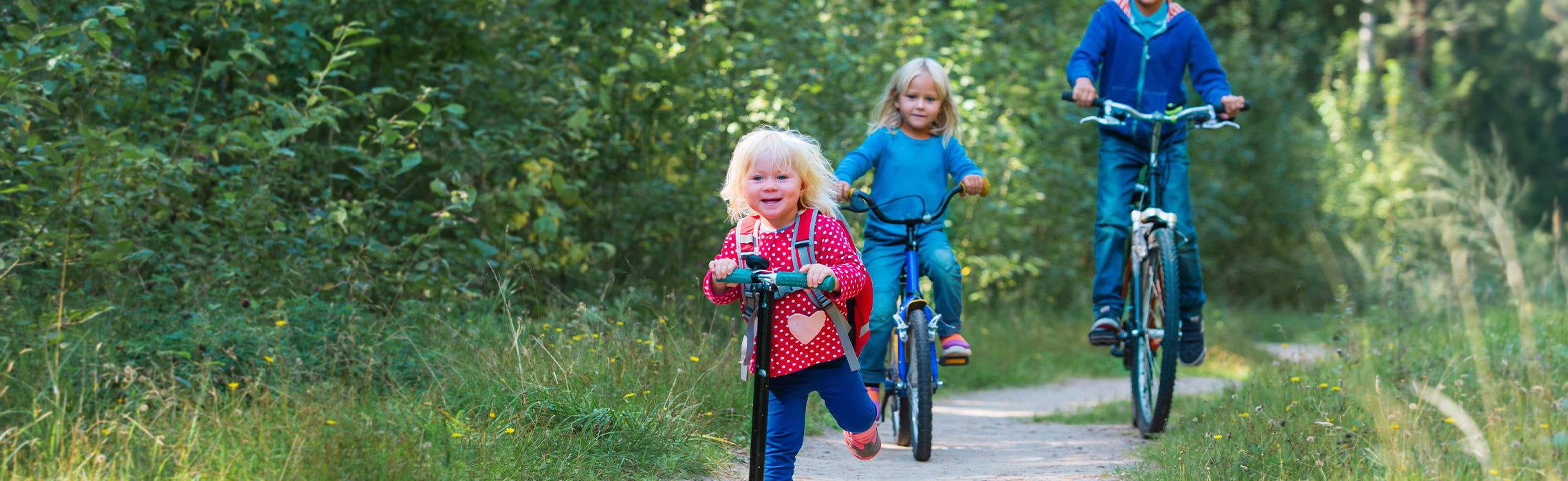 Family riding bicycles together on a scenic wooded trail