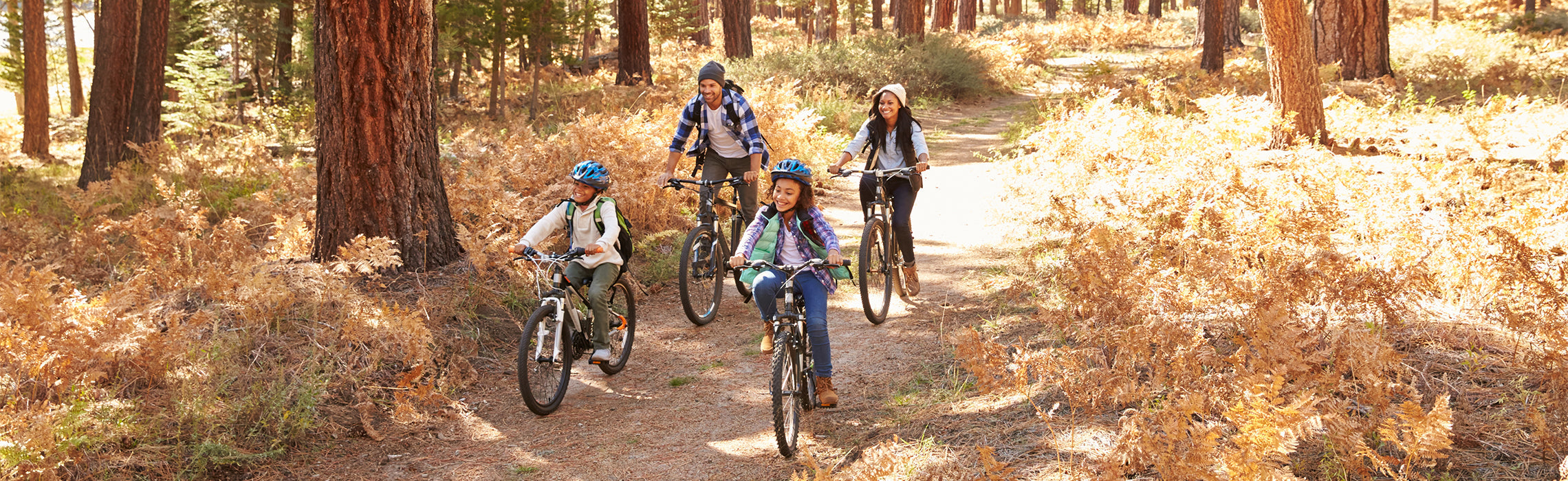 Family riding bicycles together on a sunlit forest trail surrounded by tall trees and autumn foliage, representing outdoor recreation, fitness, and active lifestyle.