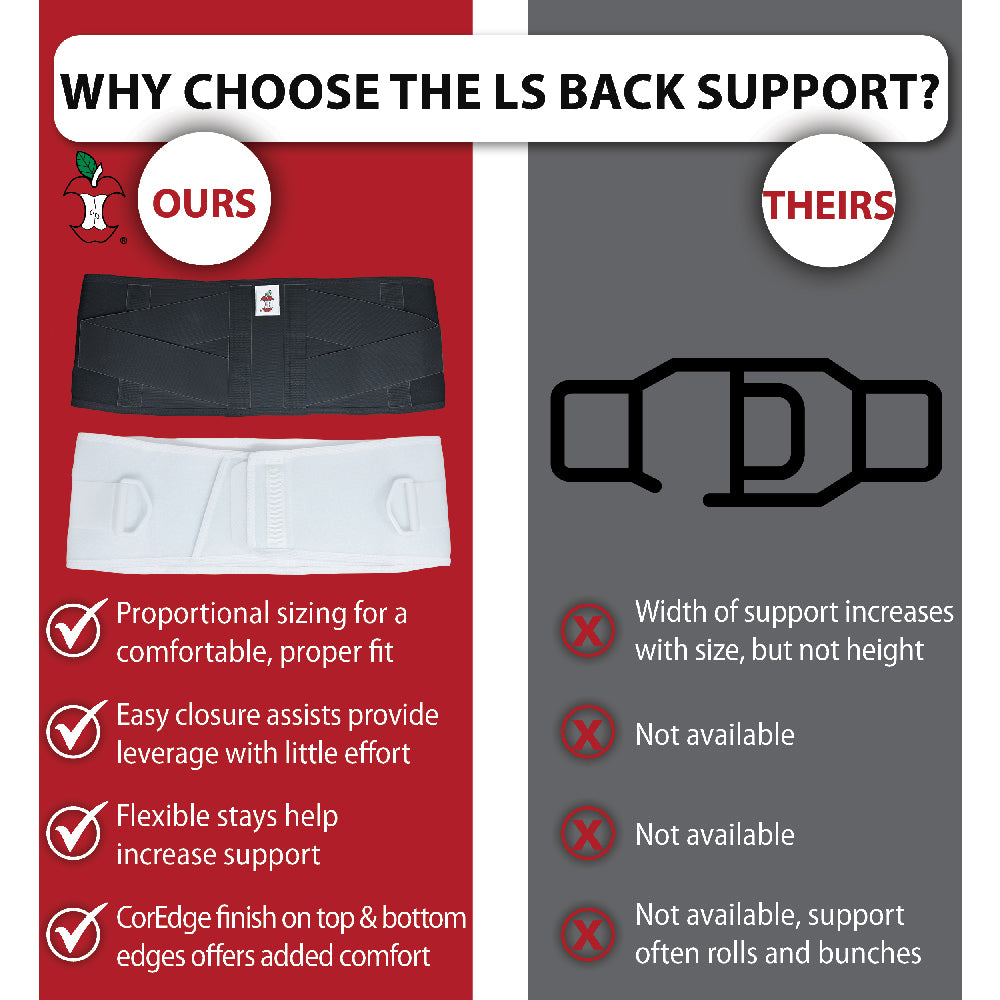 CorFit System LS Back Support