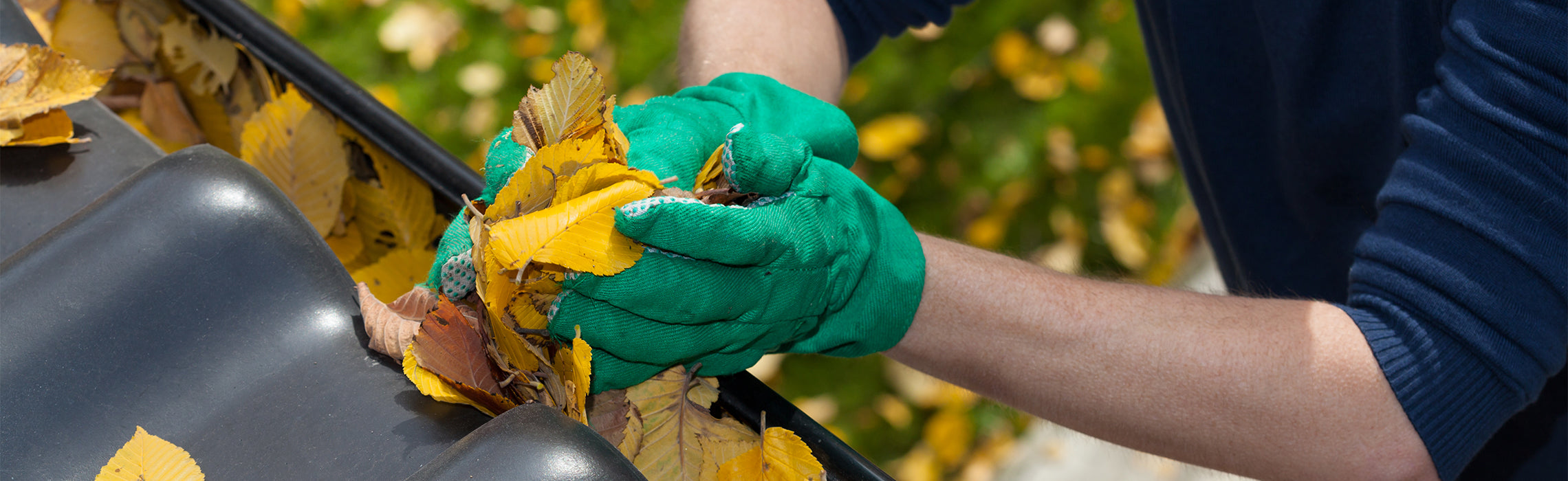 Close-up of gloved hands clearing yellow and brown leaves from a roof gutter, with autumn foliage in the background, representing seasonal home maintenance and gutter cleaning.