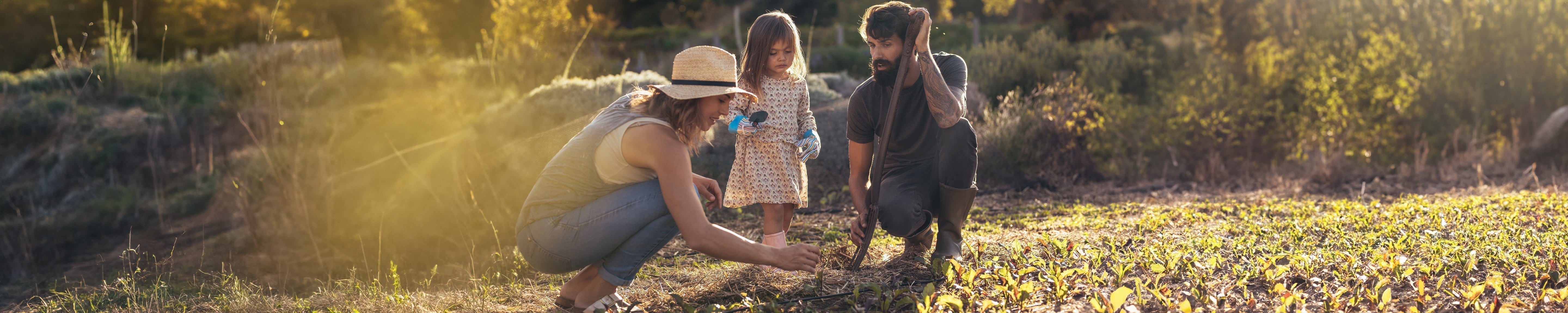 Adult and child planting seedlings in a sunlit garden while another adult assists, showing family gardening outdoors. No visible text or branding.