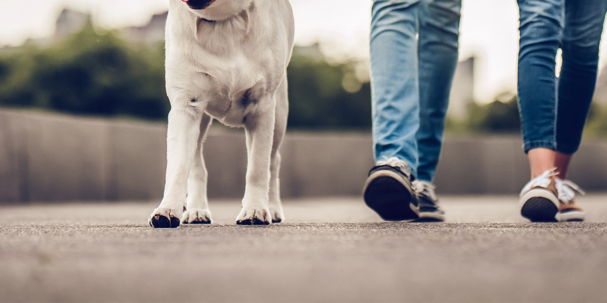 How to Strengthen Weak Ankles