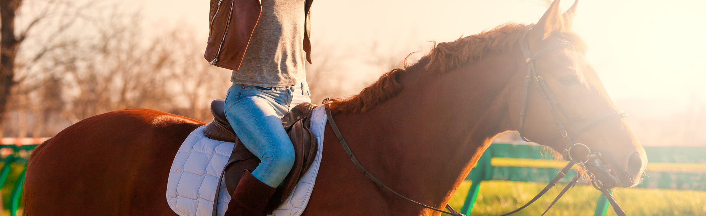 Close-up of a person riding a brown horse outdoors in warm sunlight, wearing jeans and boots while seated on a saddle in a rural setting. No visible text or branding.
