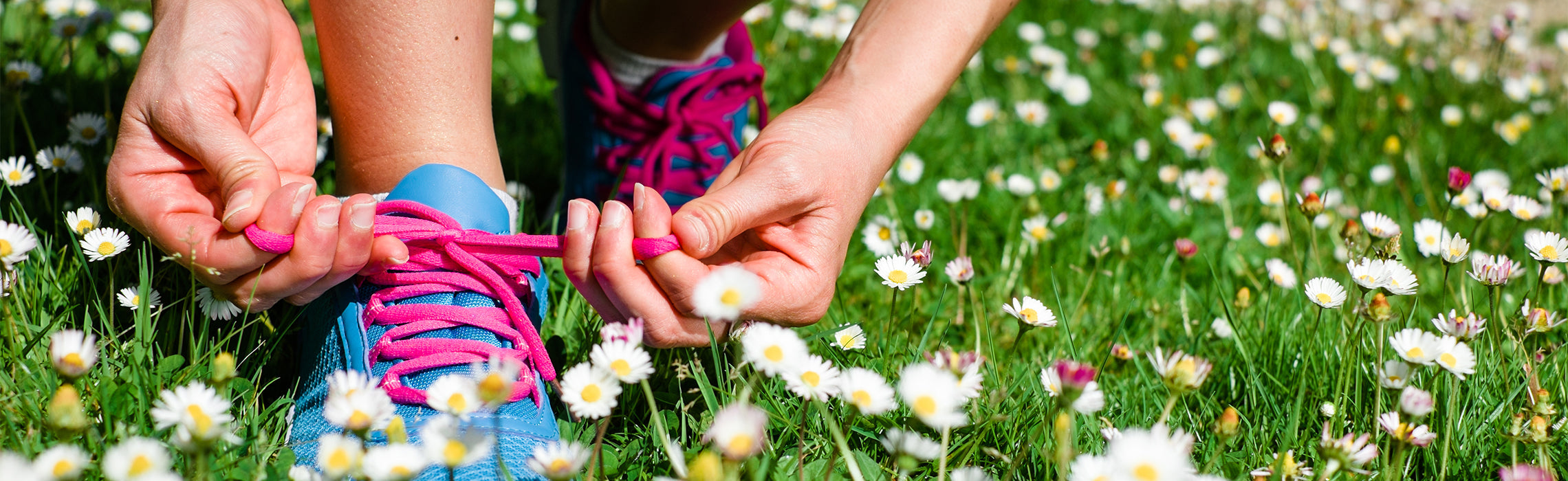 Close-up of hands tying bright pink laces on blue running shoes while kneeling in a grassy field with small white flowers, representing outdoor exercise, running preparation, and fitness activity.