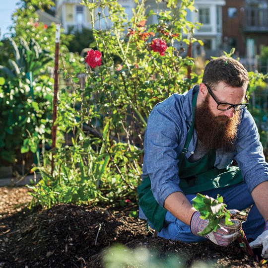 How to Manage Back Pain When You’re Working in the Garden