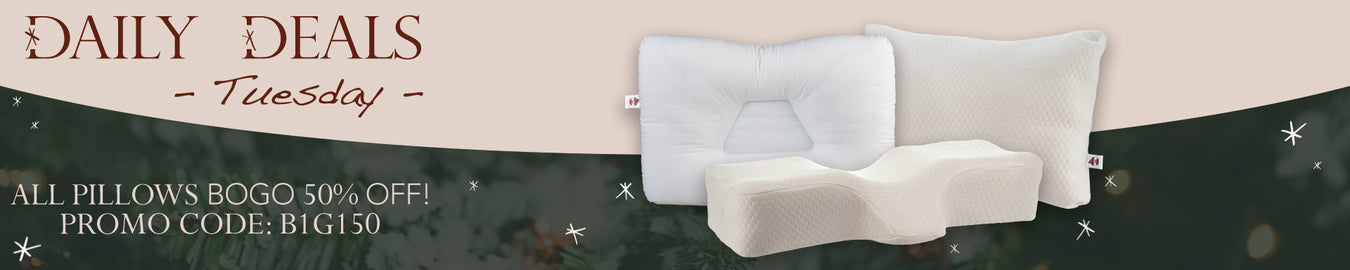 Holiday B1G150 Pillows