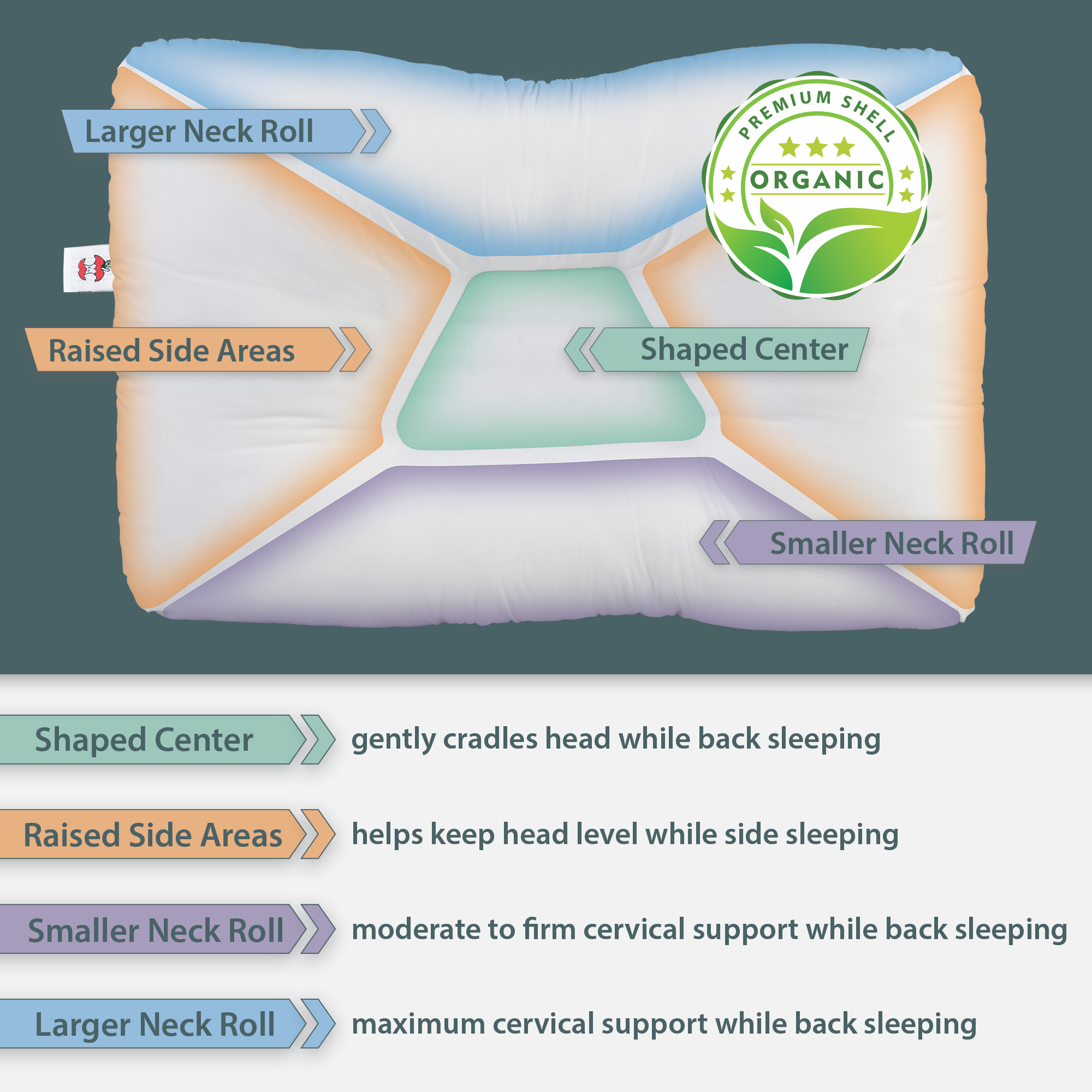 Tri-Core Natural Cervical Support Pillow with Premium Organic Cotton Shell