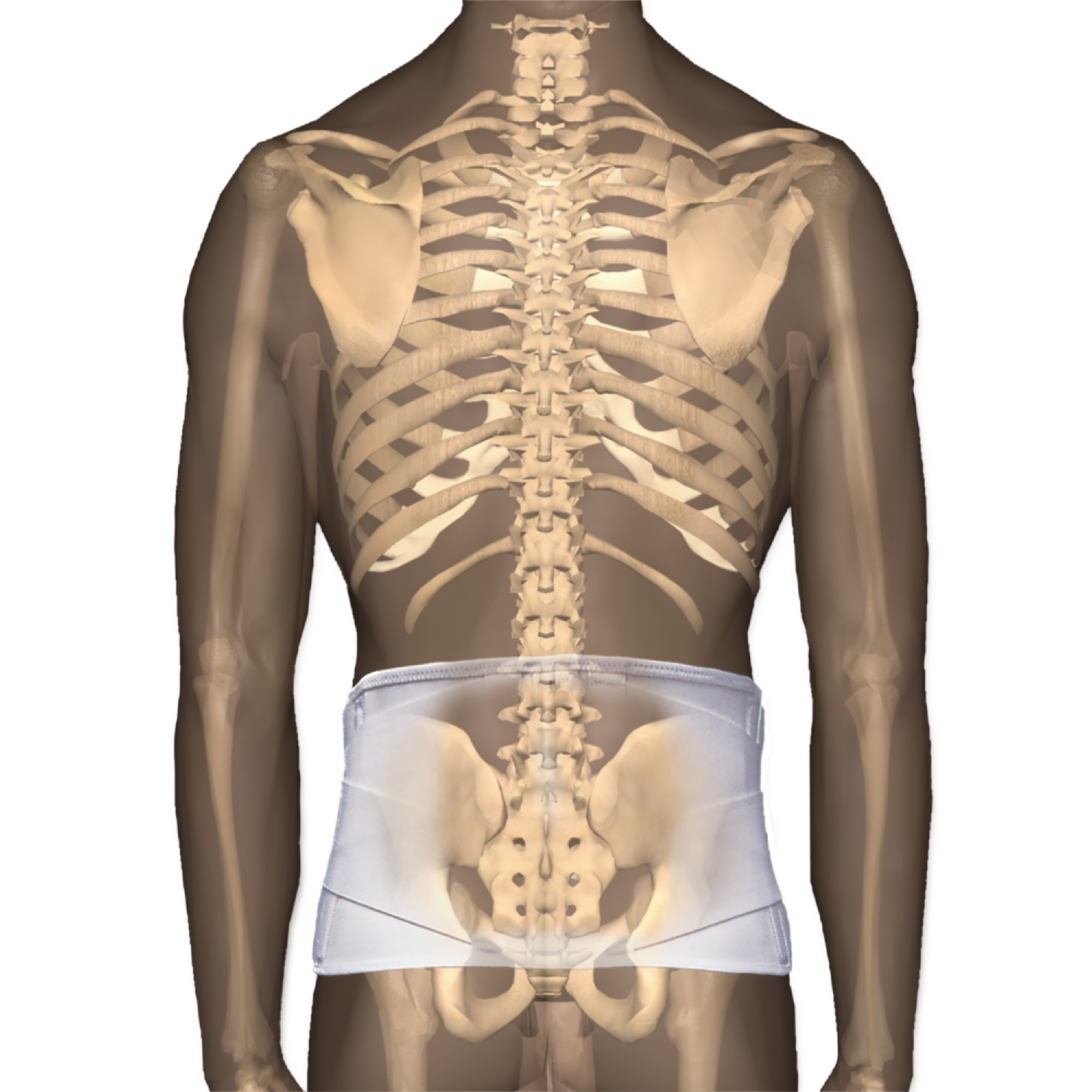 CorFit System LS Back Support