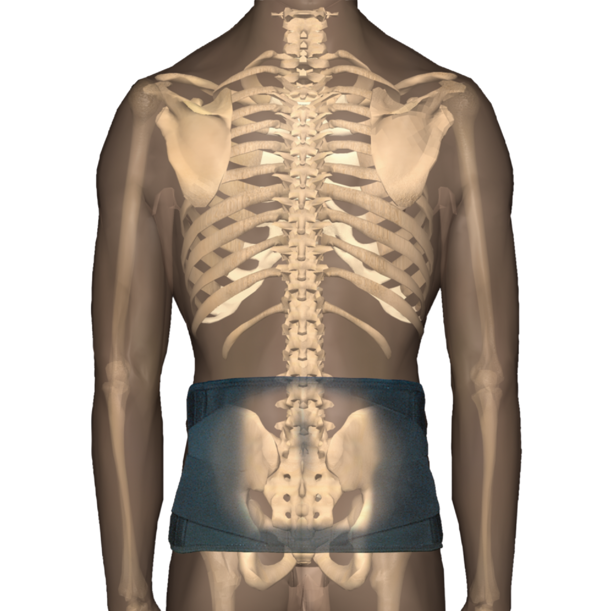 CorFit System Industrial LS Back Support